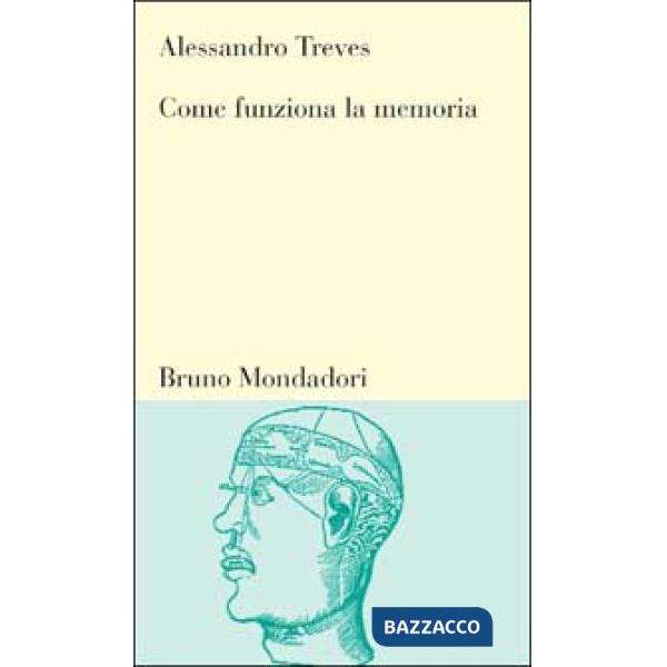 Come funziona la memoria. Le basi neurali della capacità di ricordare