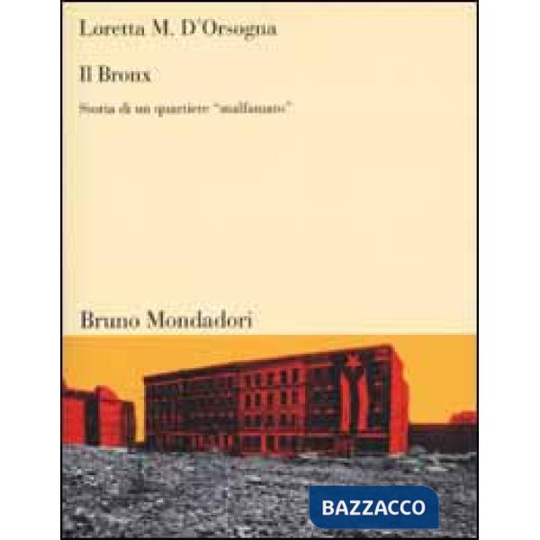 Bronx. Storia di un quartiere «malfamato» (Il)
