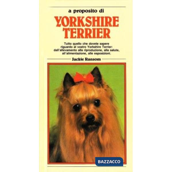 Yorkshire terrier
