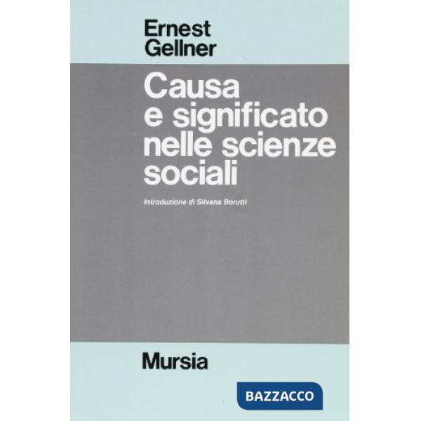 Causa e significato nelle scienze sociali
