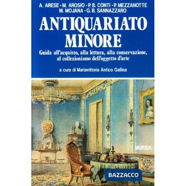 Antiquariato minore. Guida all'acquisto, alla lettura, alla conservazione, al collezionismo dell'oggetto d'arte. Ediz. illustrat
