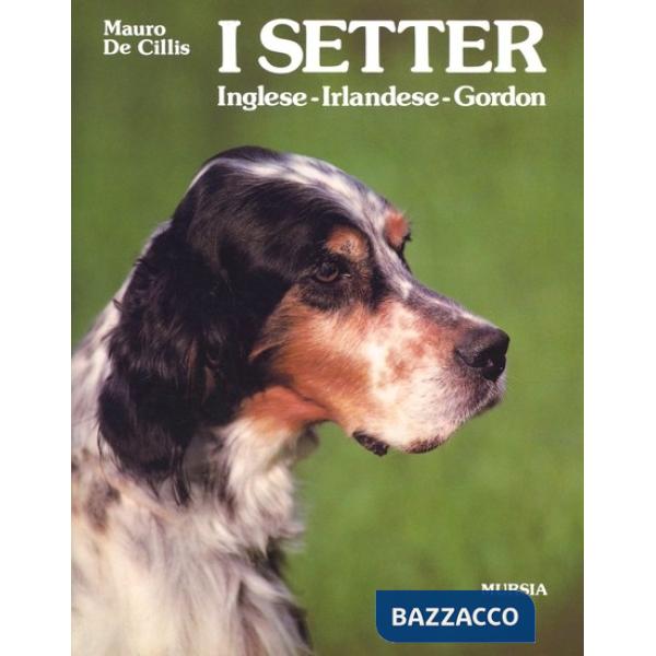Setter. Inglese, irlandese, gordon (I)