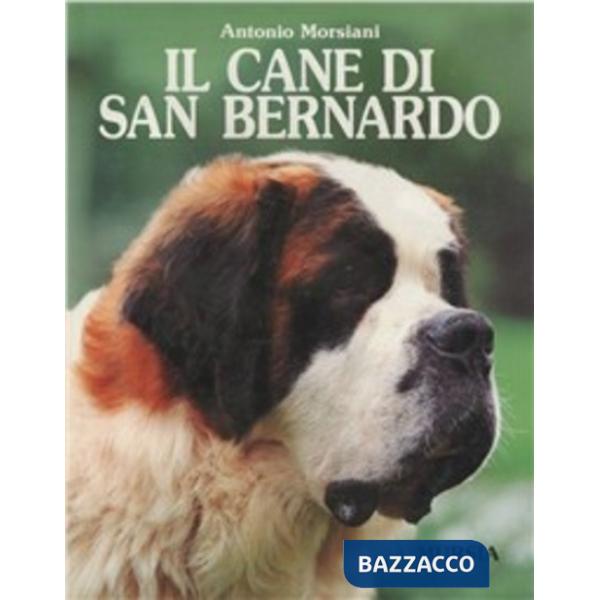 Cane san Bernardo (Il)