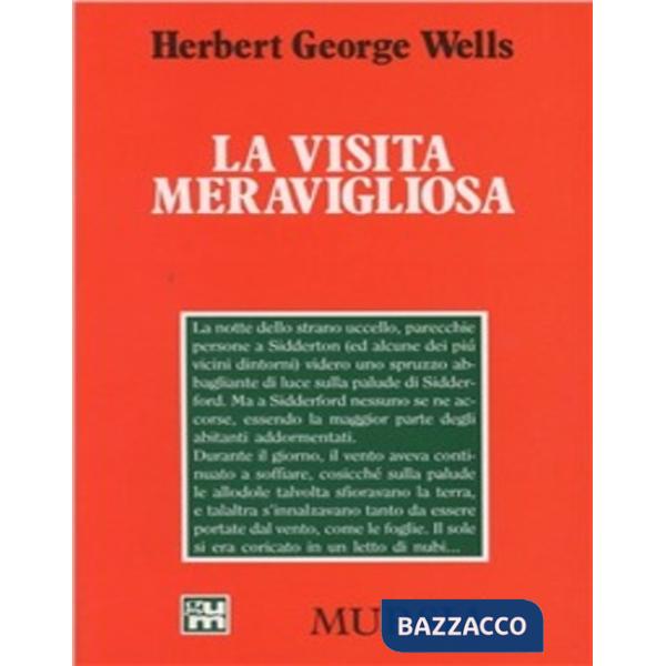 Visita meravigliosa (La)