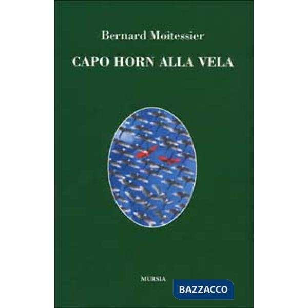 Capo Horn alla vela. 14000 miglia senza scalo