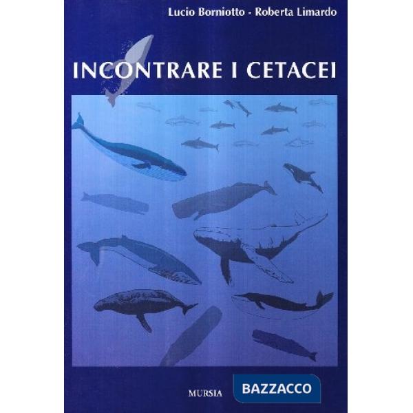 Incontrare i cetacei