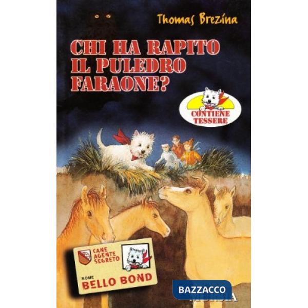 Chi ha rapito il puledro Faraone?