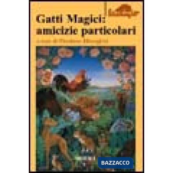 Gatti magici: amicizie particolari