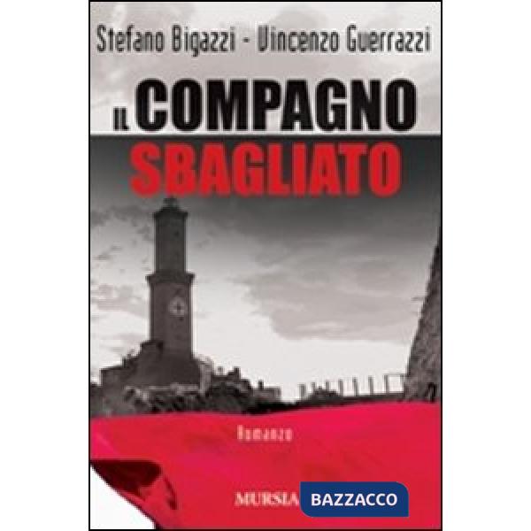 Compagno sbagliato (Il)