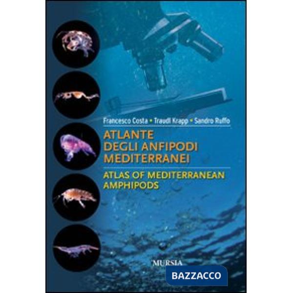 Atlante degli anfipodi mediterranei. Ediz. italiana e inglese