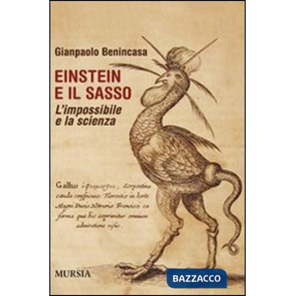 Einstein e il sasso. L'impossibile e la scienza