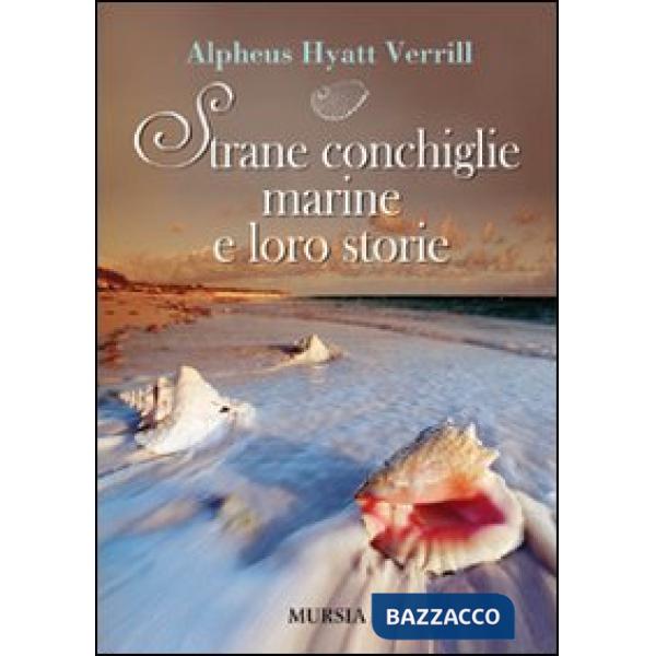 Strane conchiglie marine e loro storie