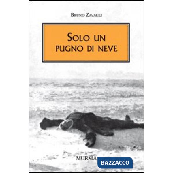 Solo un pugno di neve