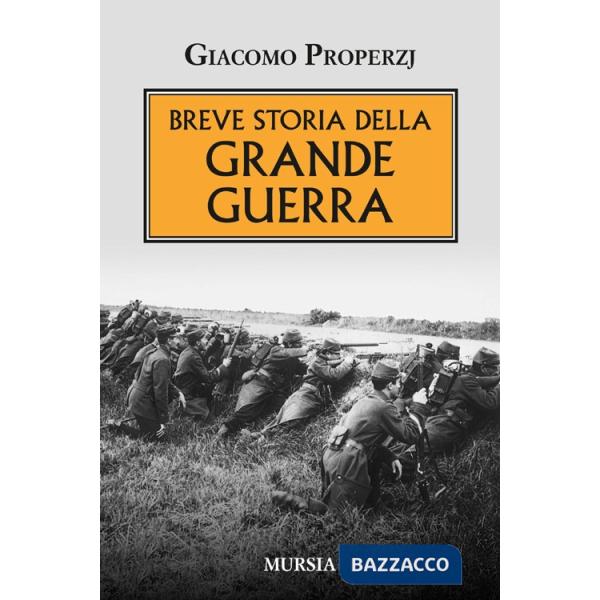 Breve storia della grande guerra