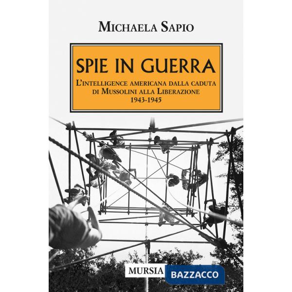 Spie in guerra. L'intelligence americana dalla caduta di Mussolini alla Liberazione. 1943-1945