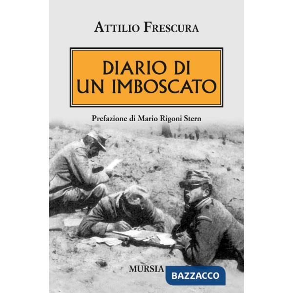 Diario di un imboscato