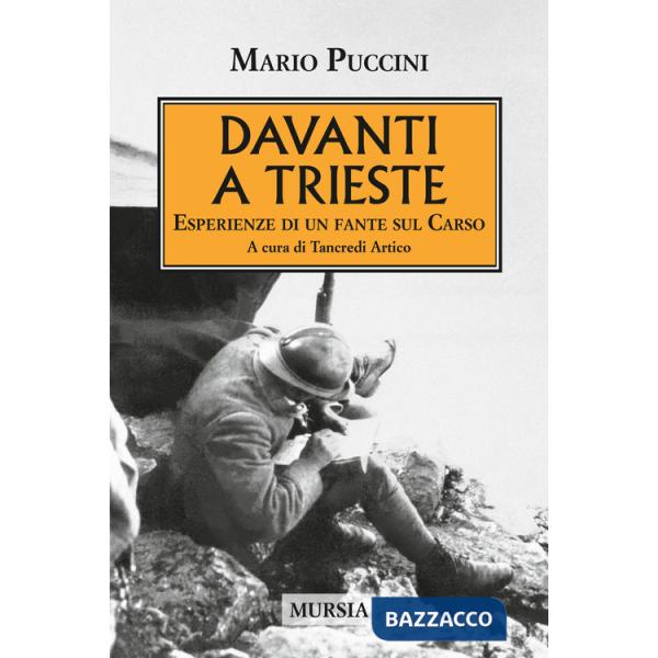 Davanti a Trieste. Esperienze di un fante sul Carso