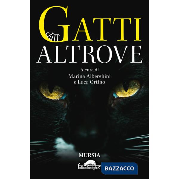 Gatti dall'altrove