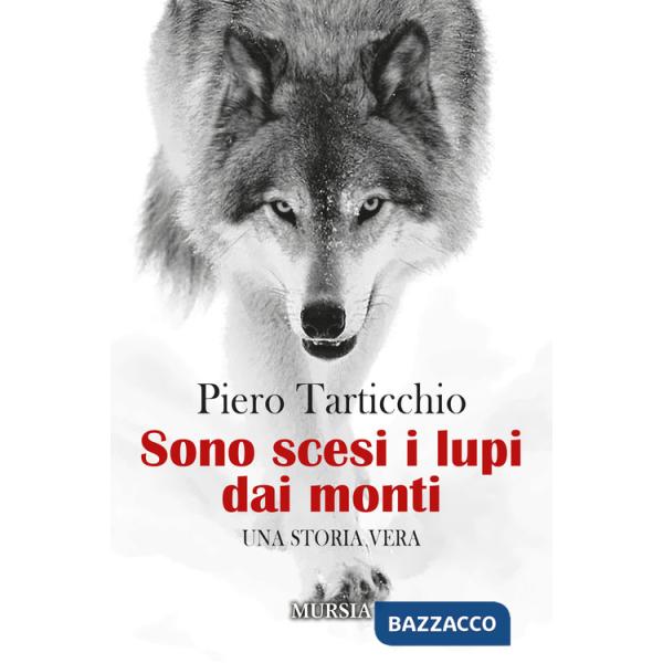 Sono scesi i lupi dai monti