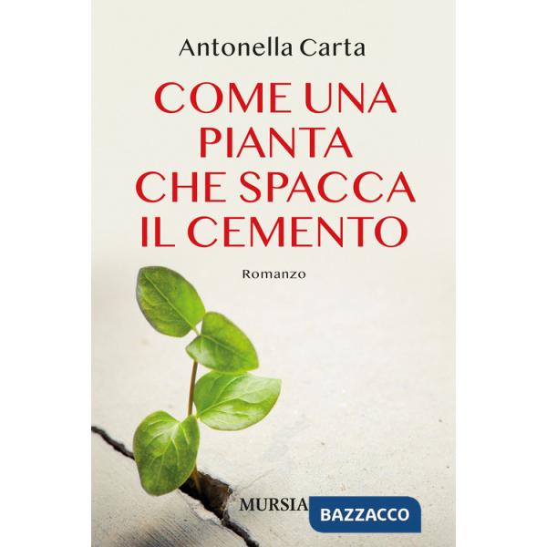 Come una pianta che spacca il cemento