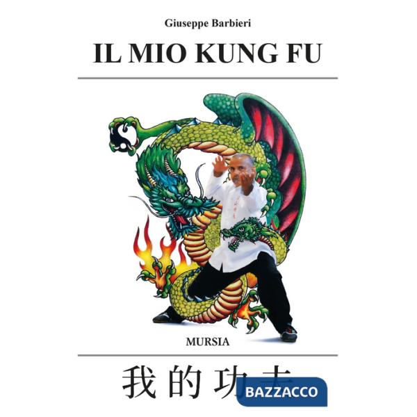 Mio Kung-fu (Il)