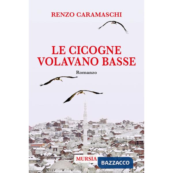 Cicogne volavano basse (Le)