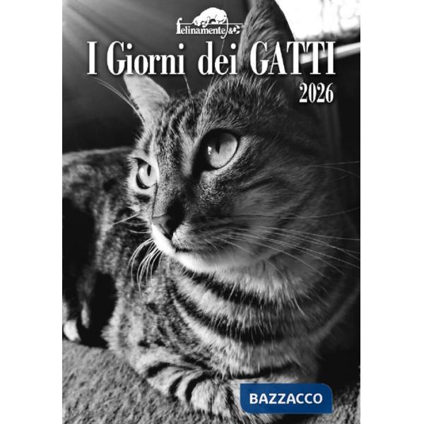 Giorni dei gatti. Agenda 2026 (I)
