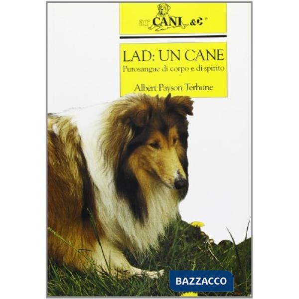 Lad: un cane. Purosangue di corpo e di spirito