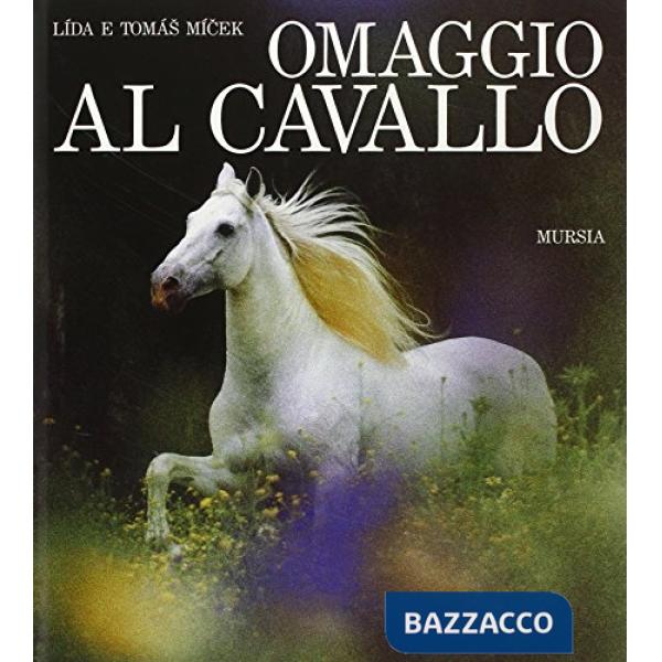 Omaggio al cavallo