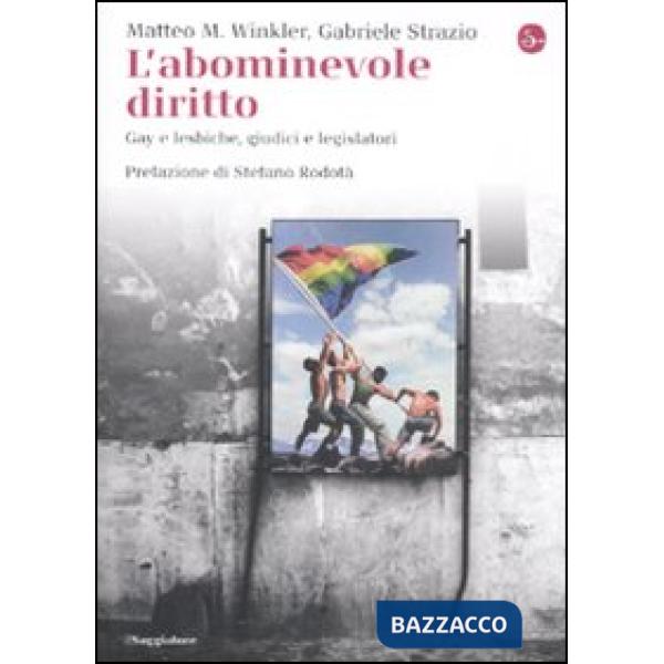 Abominevole diritto. Gay e lesbiche, giudici e legislatori (L')