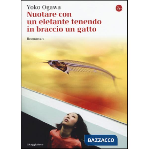 Nuotare con un elefante tenendo in braccio un gatto