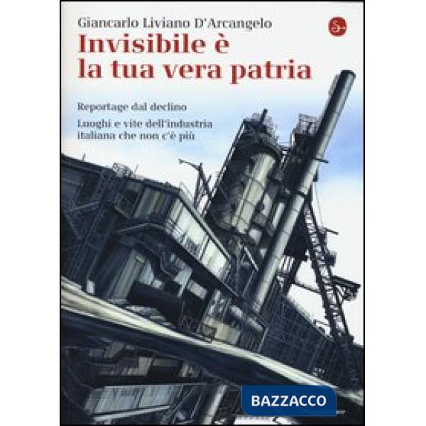 Invisibile è la tua vera patria. Reportage del declino. Luoghi e vite dell'indus