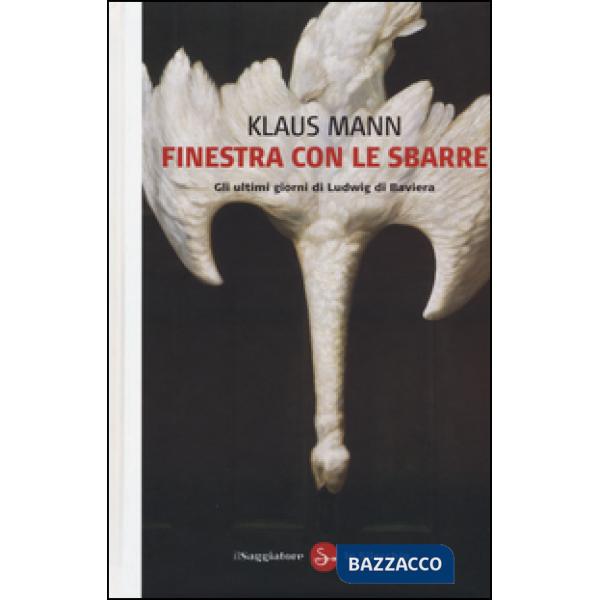 Finestra con le sbarre. Gli ultimi giorni di Ludwig di Baviera