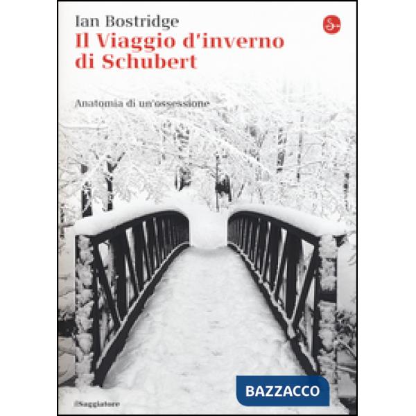 Viaggio d'inverno di Schubert. Anatomia di un ossessione (Il)