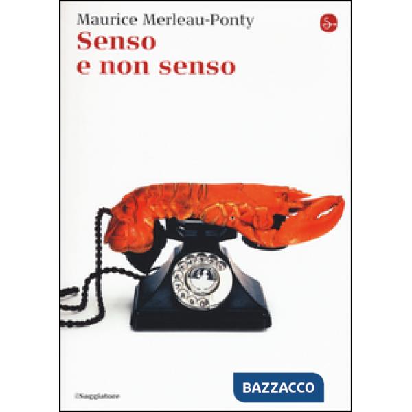 Senso e non senso