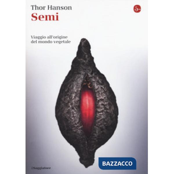 Semi. Viaggio all'origine del mondo vegetale