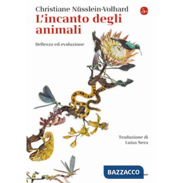 Incanto degli animali. Bellezza ed evoluzione (L')