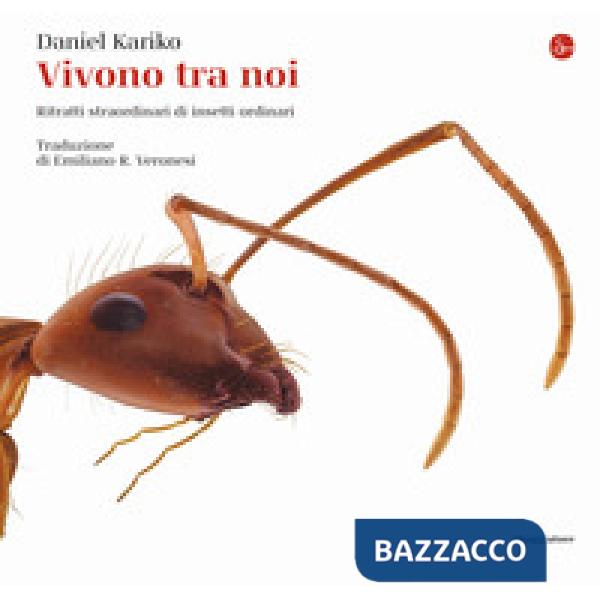 Vivono tra noi. Ritratti straordinari di insetti ordinari. Ediz. a colori