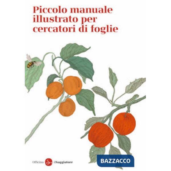 Piccolo manuale illustrato per cercatori di foglie. Ediz. a colori