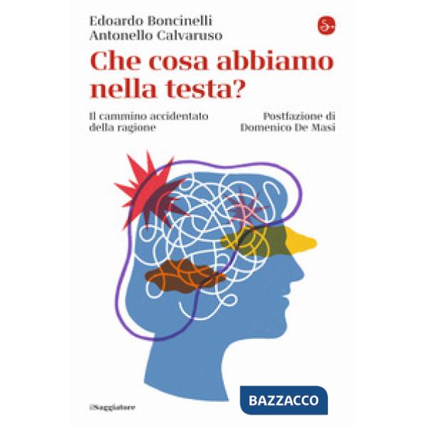 Che cosa abbiamo nella testa? Il cammino accidentato della ragione