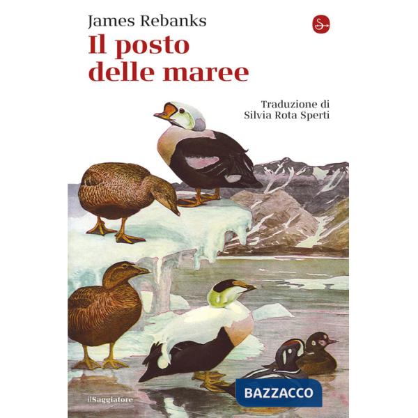 Posto delle maree (Il)