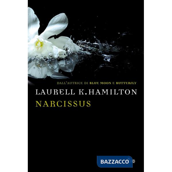 Narcissus
