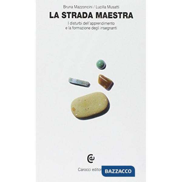 Strada maestra. I disturbi dell'apprendimento e la formazione degli insegnanti (