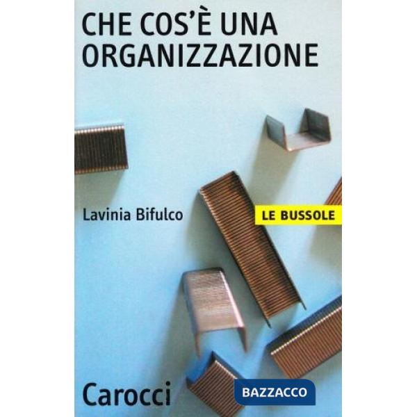 Che cos'è un'organizzazione