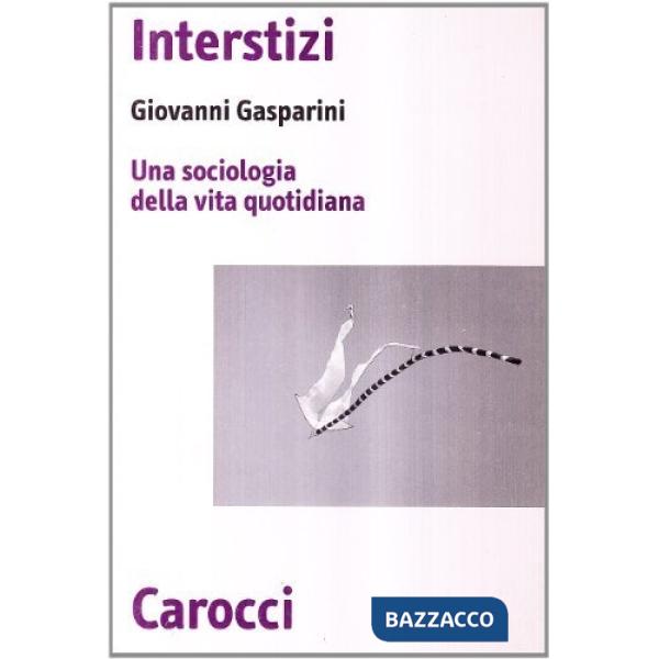 Interstizi. Una sociologia della vita quotidiana