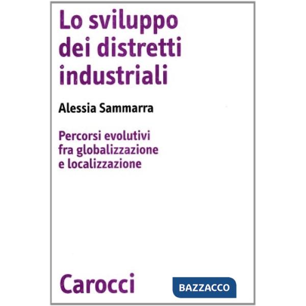Sviluppo dei distretti industriali. Percorsi evolutivi fra globalizzazione e loc