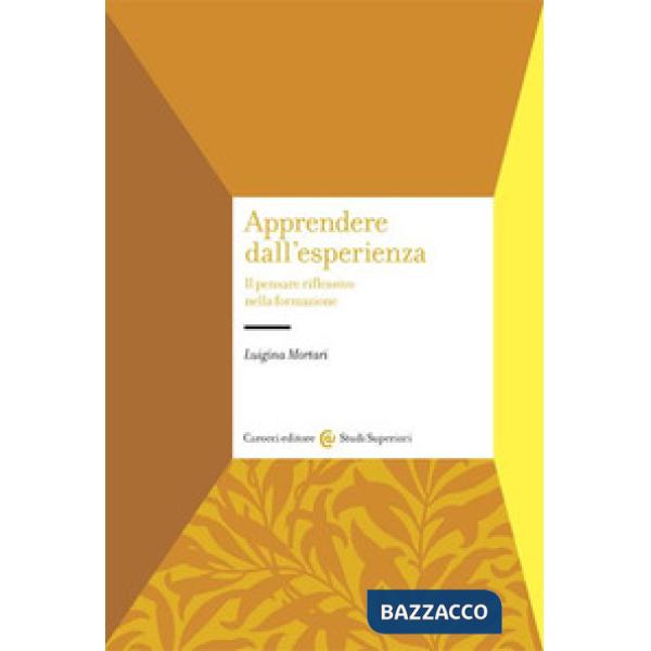 Apprendere dall'esperienza. Il pensare riflessivo nella formazione