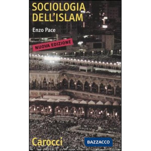 Sociologia dell'Islam. Fenomeni religiosi e logiche sociali
