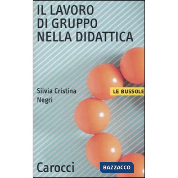 Lavoro di gruppo nella didattica (Il)