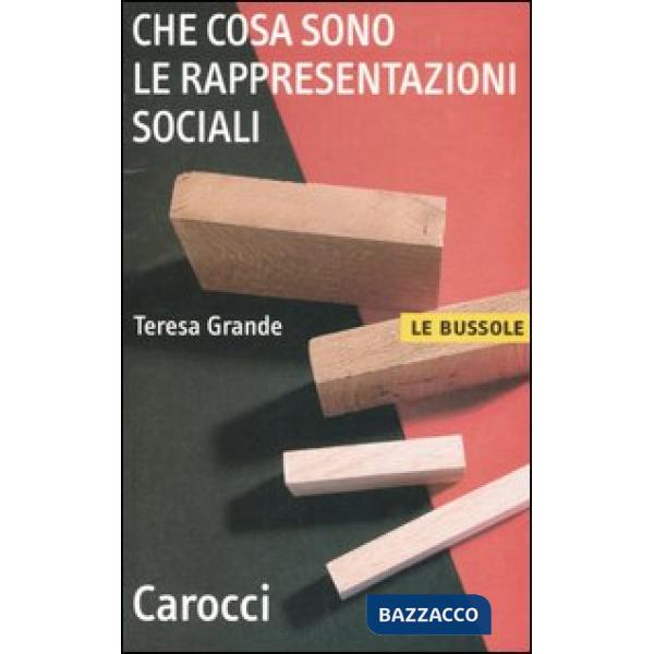 Che cosa sono le rappresentazioni sociali